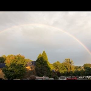 Meet your Posher, Rose